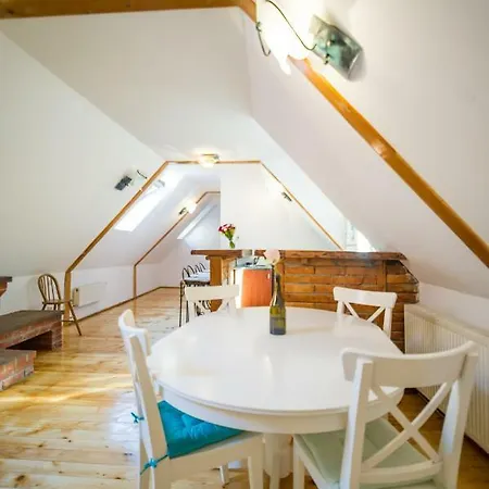 Rope Street Attic Apartment Brasov