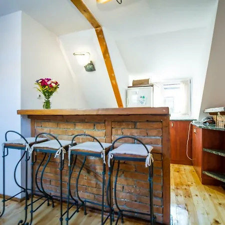 Rope Street Attic Apartment Brasov