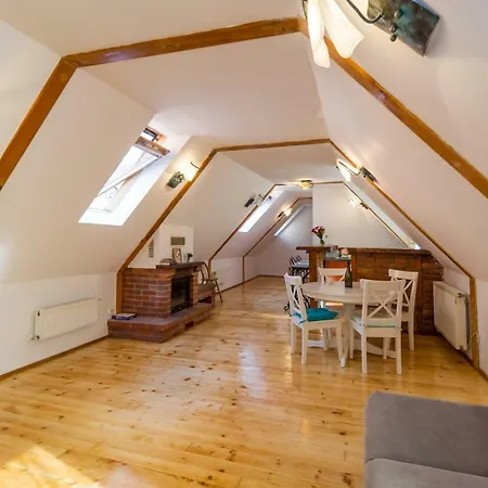 Rope Street Attic Apartment Brasov