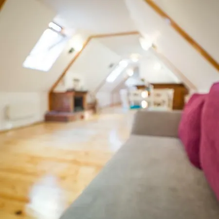 Rope Street Attic Apartment Brasov