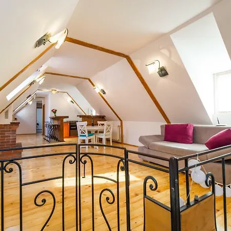 Rope Street Attic Apartment Brasov